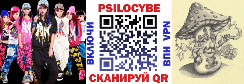 где купить Лаишево Псилоцибиновые грибы Cubensis